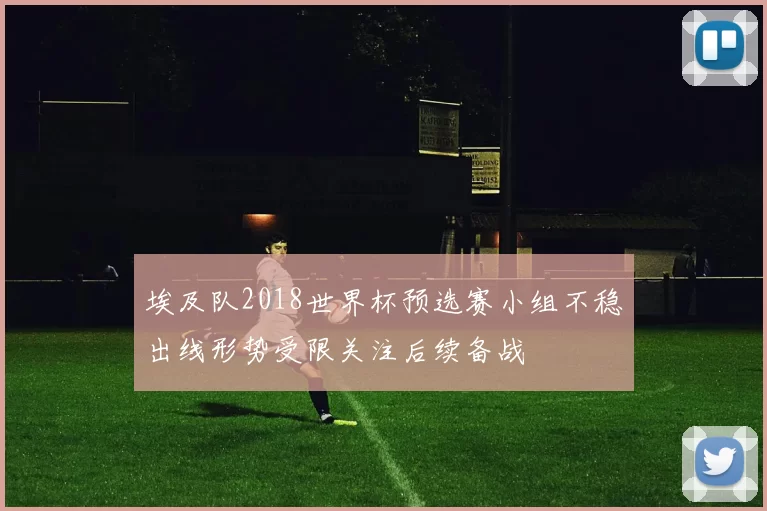 埃及队2018世界杯预选赛小组不稳出线形势受限关注后续备战