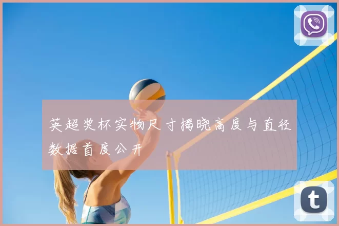 英超奖杯实物尺寸揭晓高度与直径数据首度公开