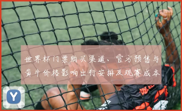 世界杯门票购买渠道、官方预售与黄牛价格影响出行安排及观赛成本